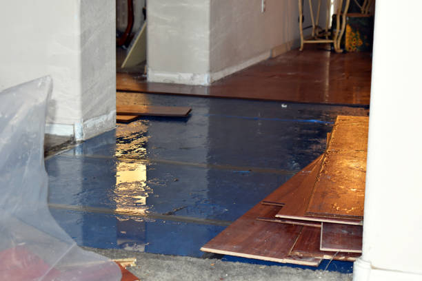Professional Water Damage Restoration technician working in Highlands, NC